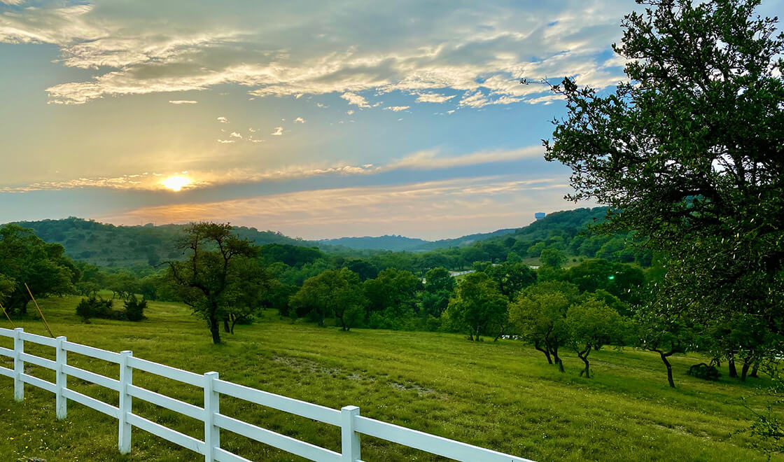 Texas landscape and fence